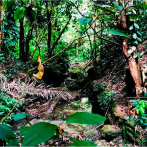 cachoeira-do-urubu-4